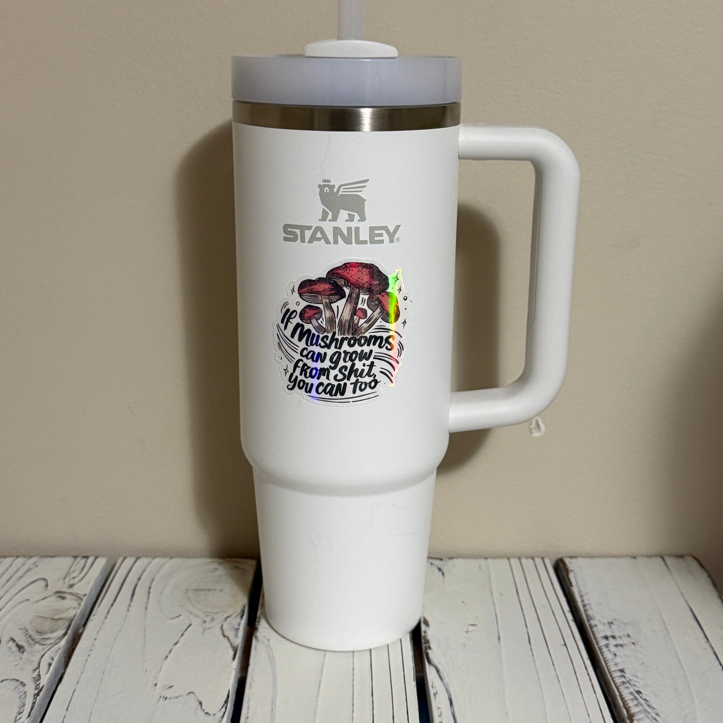 If Mushrooms Can Grow - Holographic Sticker