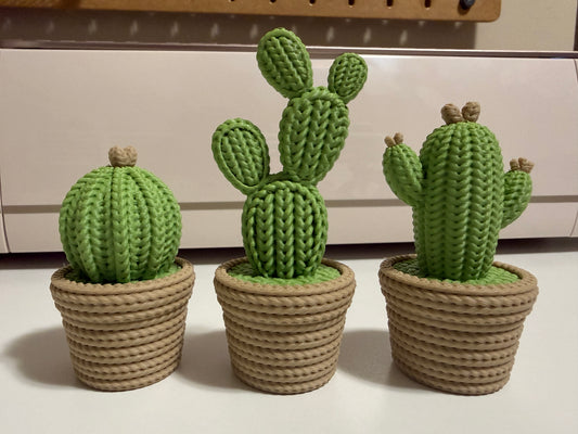 Hidden Spot Cactus 3 Piece Set