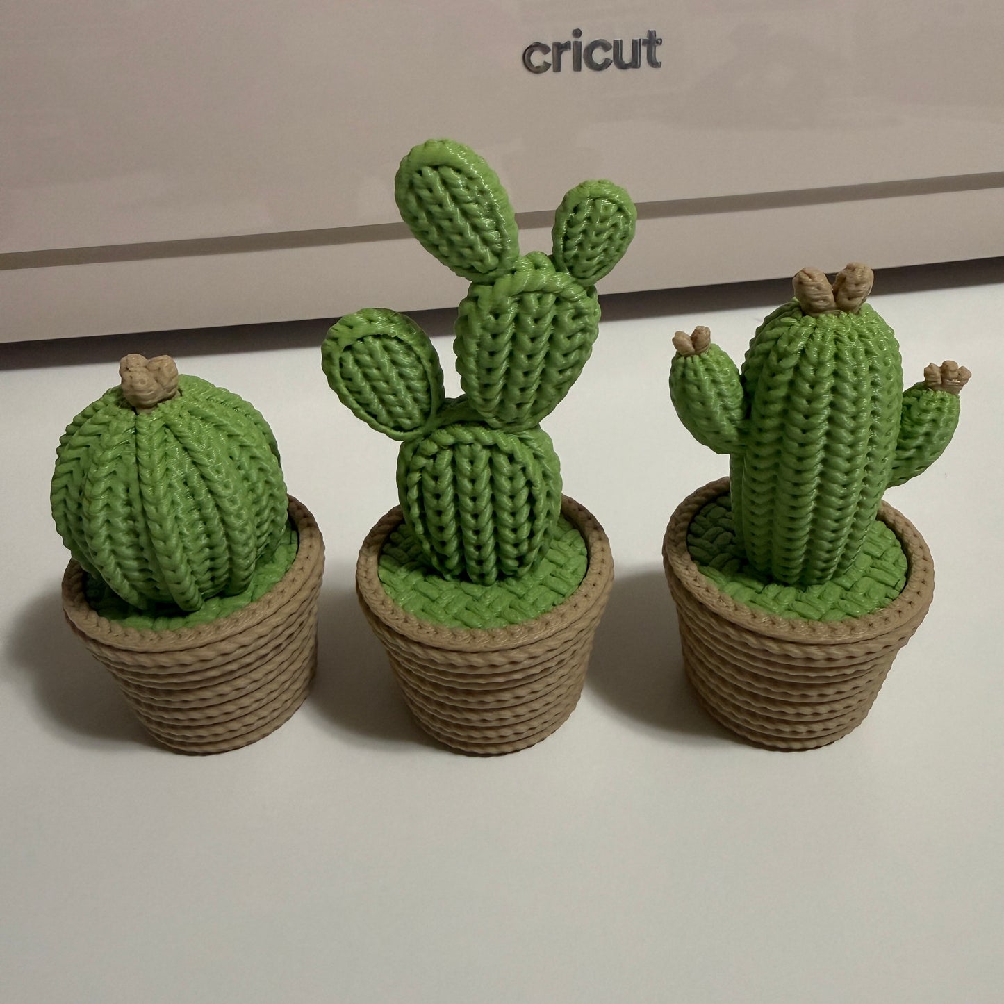 Hidden Spot Cactus 3 Piece Set